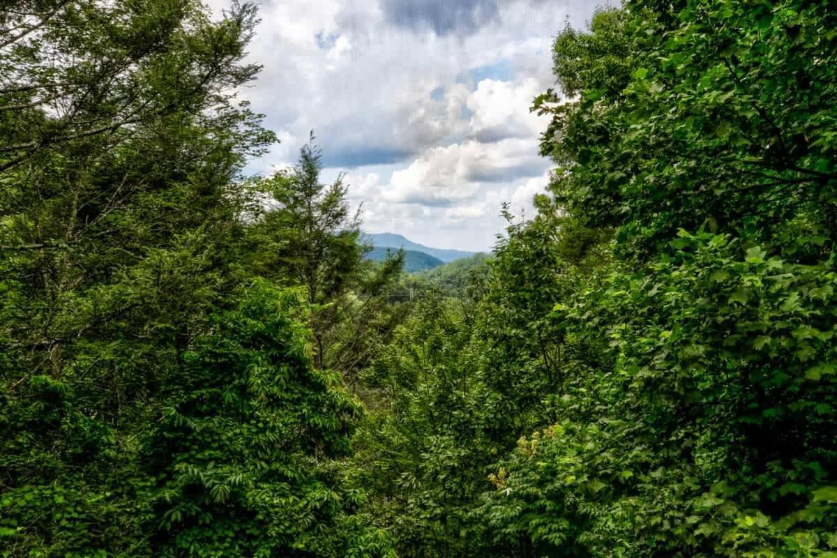 Nice View Fireplace, Hot Tub, Porch Bed, Private Sevierville Eksteriør billede